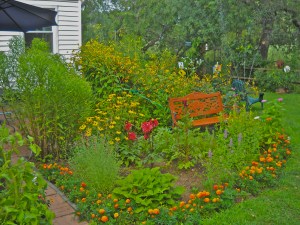 The patio garden. The bench is dedicated to our sister-in-law, who loved to exchange garden stories with us. Her spirit can visit and see what we're up to. 