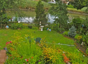 Patio Garden looking out towards Duffy's Creek, taken from the attic window