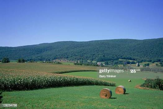 gettyimages-128234758-612x612